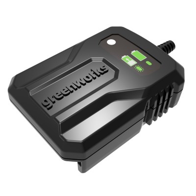 Зарядное устройство-слайдер Greenworks BAG811, 24V